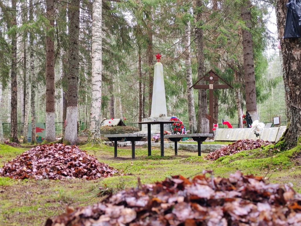 Уборка воинского захоронения, расположенного в лесу вблизи деревни Старое Рамушево.